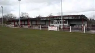Bedlington Terriers feature with David Holmes