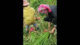 Mother and Two Smart Children Repairing Their Old House Together
