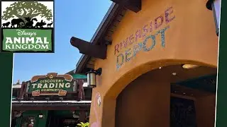 Disney Animal Kingdom GIFT SHOP Complete Store WALKTHROUGH (major stocked shelves)
