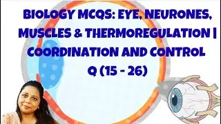 Biology MCQs: Eye, Neurones, Muscles & Thermoregulation | Coordination and Control