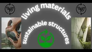 Living Materials  The Future of Sustainable Stuctures #sustainableliving #sustainability