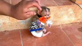 Tiny Girl Sattttly Don't Want Dad Leave Her To Market