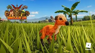 A DURA VIDA DE UM PAQUICEFALOSSAURO! (Pachy)  - Dinosaur Life (Roblox)