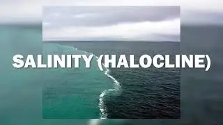 These  Oceans Meet But Do Not Mix, Why? | Atlantic And Pacific Ocean