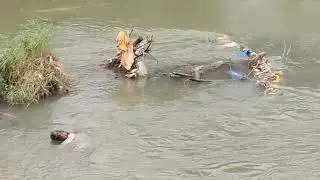 Dandeli crocodile park 
