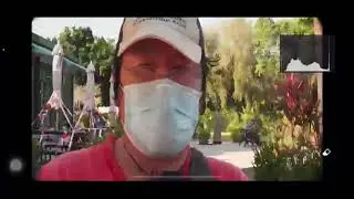 Live testing Sirui 35mm anamorphic lens with weebill S and active tracking...