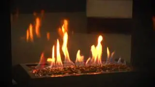 Napoleon&reg; HD81 Fireplace - eFireplaceStore com