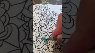 Coloring hand drawn mandalas #copic #shorts #mandalas