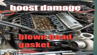 1986 mustang engine damage head gasket replacement