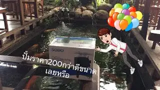 รีวิวปั้มน้ำ(ปั้มตู้ปลา) SOBO WP-4880 ดีเกินราคาถามจริงราคานี้ได้ขนาดนี้เลยหรือ