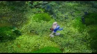 Clumsy being Chased by Dragonflies