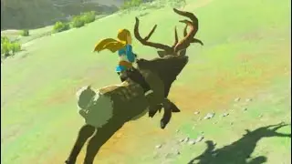 Zelda Simply Riding A Deer