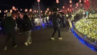 日本名古屋之旅（名花之里 ￼）第二集￼