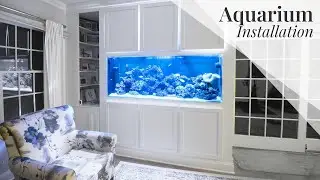 Aquarium Installation | GreenRose Design