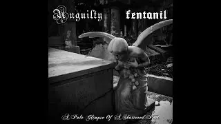 Unguilty / Fentanil - A Pale Glimpse Of A Shattered Past (FULL SPLIT)