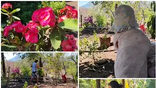Hoy le tocó grabar a mi hija 😂🥰///Fuimos a regar sus plantitas 🌷🌷🌿