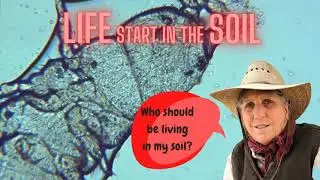 Soil Life Explained for Gardeners by Patti Armbrister. Show #12 Grow Live with Patti & Jackie