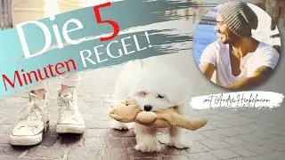 Mythen im Hundetraining: Die 5 Minuten Gassi Regel!?