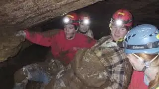 UBMS Biospeleology 2012
