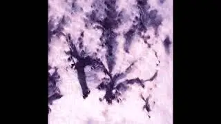 polyp19 x deko type beat - kawaii