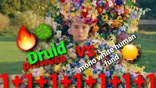 Modern MTG : Druid Prowess 🌳🔥 VS mono white humans ☀️