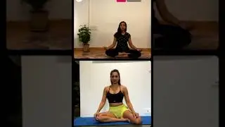 Malaika Aroraa Live With Sarva Yoga Studio ||| New Release