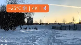 Зимняя прогулка в &minus;25&deg;C ❄️ прогулка по парку  со звуками природы | 4K