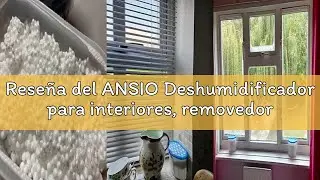 Rese&ntilde;a del ANSIO Deshumidificador para interiores, removedor de condensaci&oacute;n, absorbente de humedad,