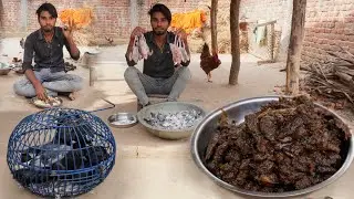 desi kabutar curry recipe in village traditional style cooking for eating ||pigeon meat gravy masala