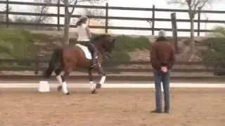 CLINIC DIANA OSTÁRIZ & GUMIEL (BEMELMANS 2012)