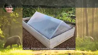 The ULTIMATE Greenhouse Plexiglass Panels of 2025!
