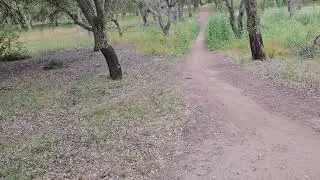 National Arboretum Canberra