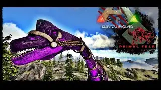 Am luat un alpha Brachi+ferma de alpha Dodo