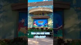 Finding Nemo the Musical at Disney&rsquo;s Animal Kingdom! #shorts #disney #disneyworld #disneyparks
