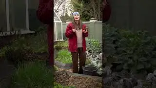 Прекрасный выбор СИДЕРАТОВ! #дачныйагроном #дача #сидераты #советы