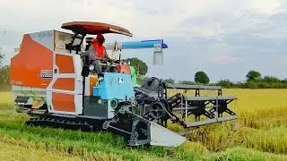 Amazing Activities Kubota Harvesting Machine Cropping Rice in the Field