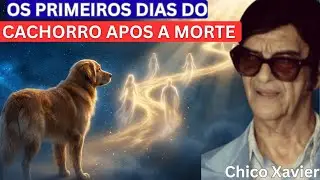 O Destino Espiritual dos Cães Após a Morte — Chico Xavier Revela