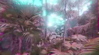 Second Ayahuasca Trip // Green Hell