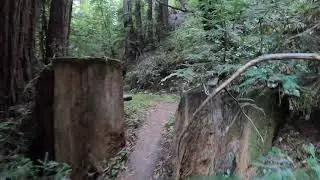 Peters Creek Expedition