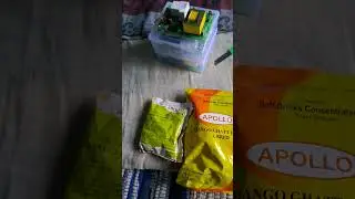 #Ghatt mango#Apollo flawer#mango juise#