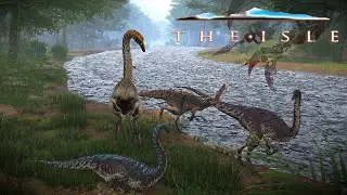 Trolling The Isle Noodles On The Rise!!- The Isle, Life Cycles Galli 2, Survival, Nycta Semi Realism