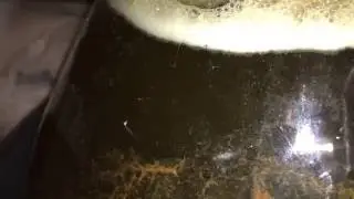 Slow, slow fermentation