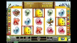 Playtech funny game bonus bears big win