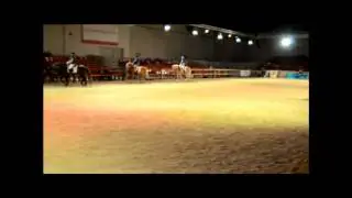Haflinger-Quadrille auf der Messe 