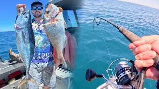 Bluefin on Popper | Snapper & Gummy Shark Session | South Australia Summer Fishing Action