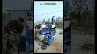 TOP 3 Sale Animal Feed Hay Grass Chopper Chaff Shredding Machine