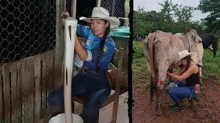 ROTINA NA ROÇA! Fiz o melhor queijo.