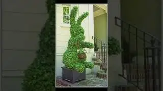 Grass animal garden designs😍, different animals shape art❤️, #grass, #gardendecorideas, #shorts