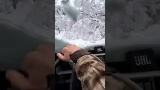 Have you drive between tree's in heavy snowfall ❄️| Let's check this 😮