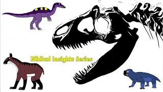 Biblical Insights Series/ Episode 1/ Pilot